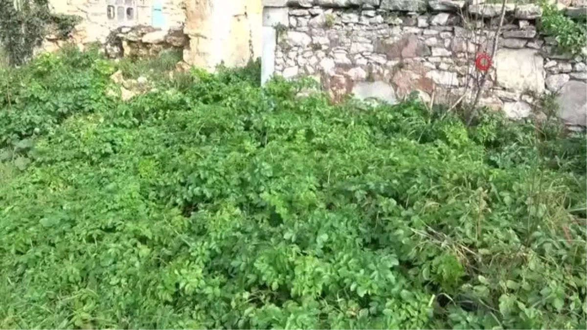 Batumlu Yesari Baba Türbesi restorasyon projesi hazır