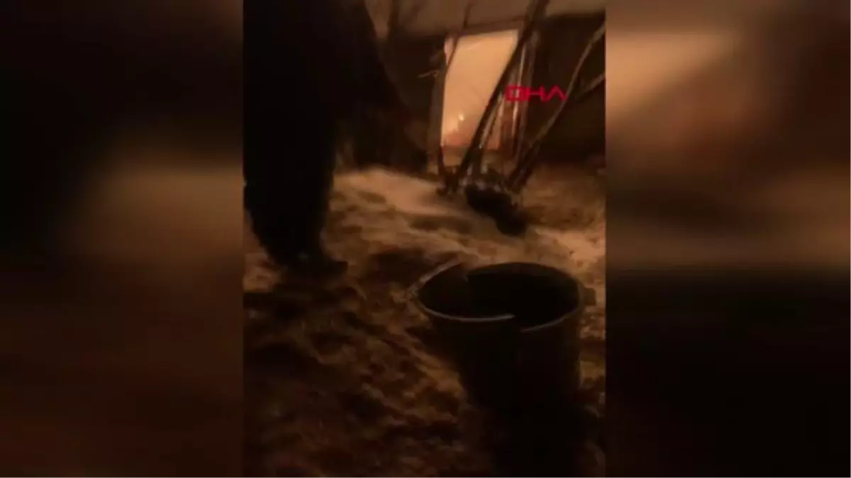 BEYKOZ\'DA AHIR YANGININDA 10 BÜYÜKBAŞ HAYVAN ÖLDÜ