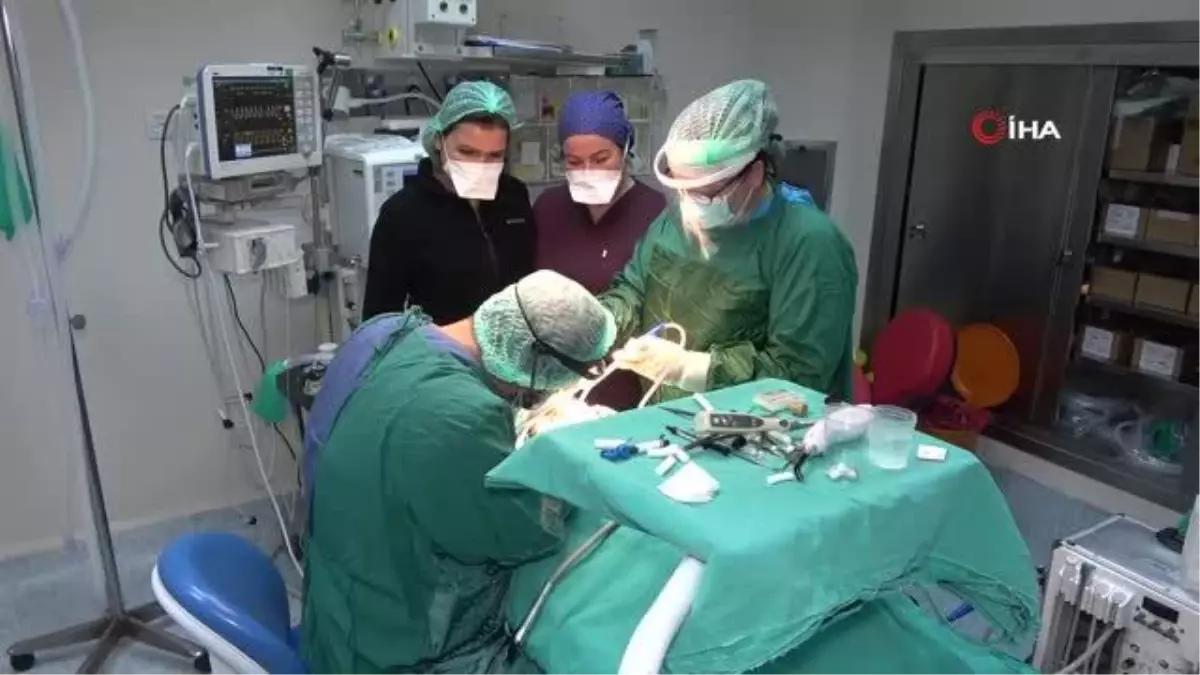 Bölgenin diş sağlığı bu hastaneye emanet