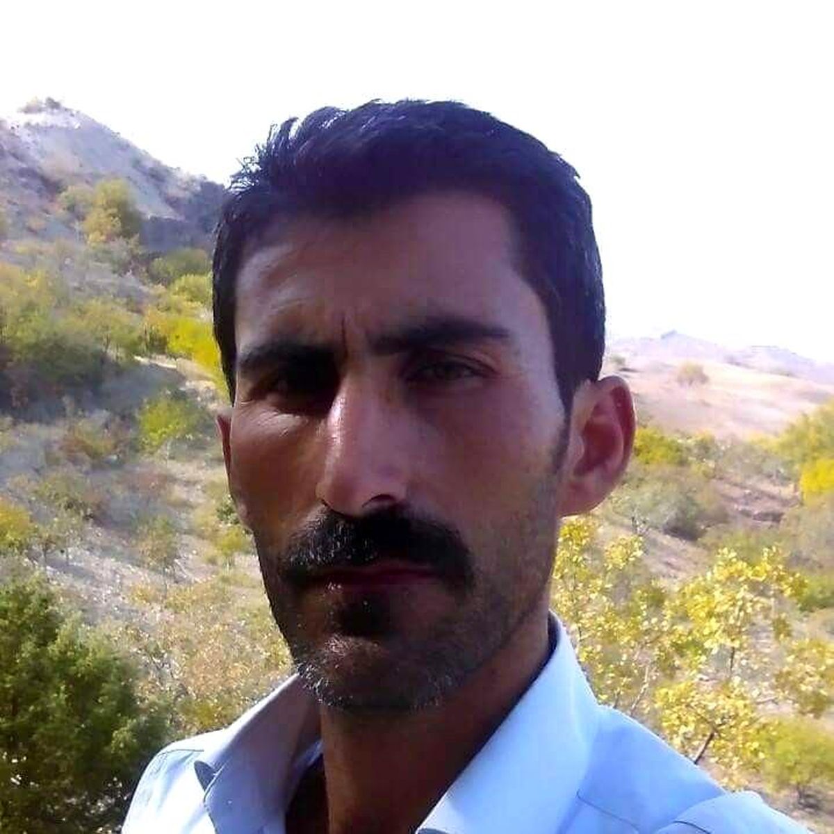 Kurt sandığı koyun sürüsünün sahibini kazara vurarak öldürdü