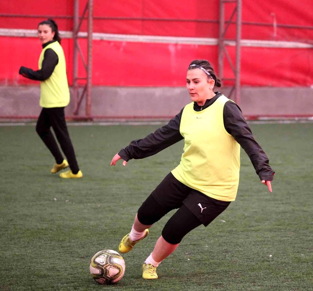 Nevzat Ercanlı: Seriye başlayacağız