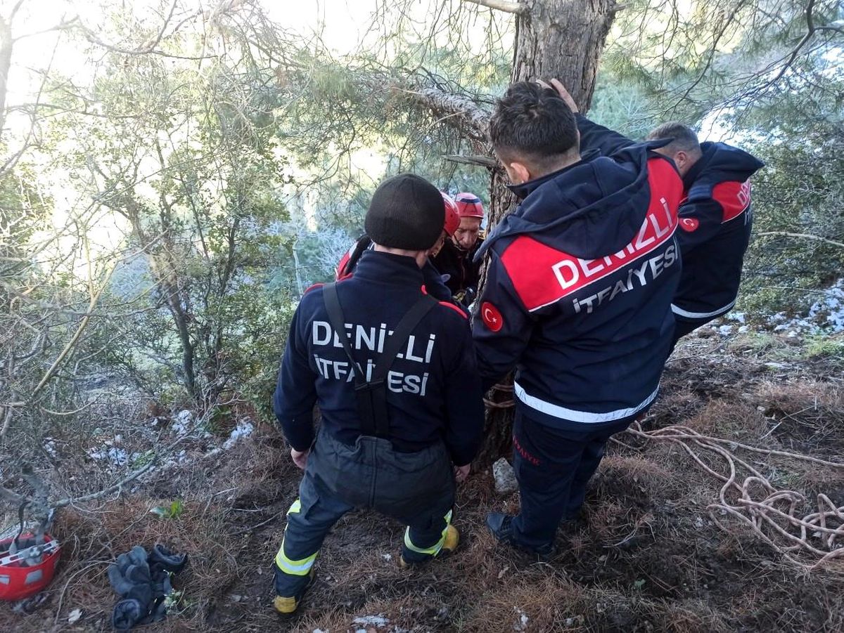 Uçurumda mahsur kalan 4 keçi kurtarıldı