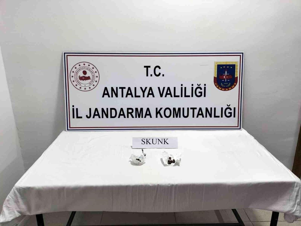 Manavgat\'ta uyuşturucu operasyonu