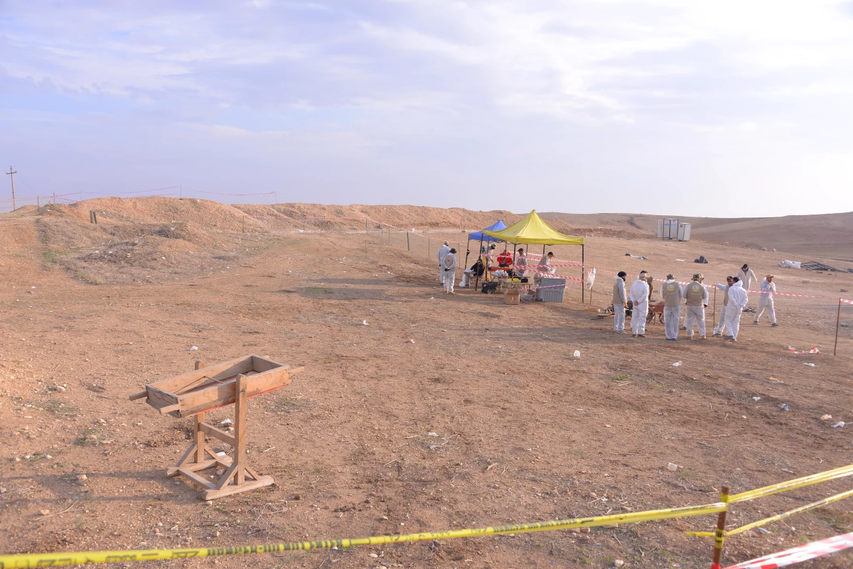Sincar\'da 2014\'ten bu yana Ezidilere ait 81 toplu mezar bulundu
