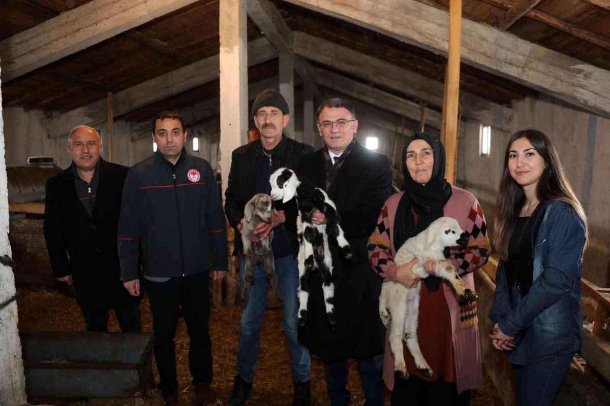 Tokat'ta 2 yılda 912 çiftçi sürü sahibi oldu