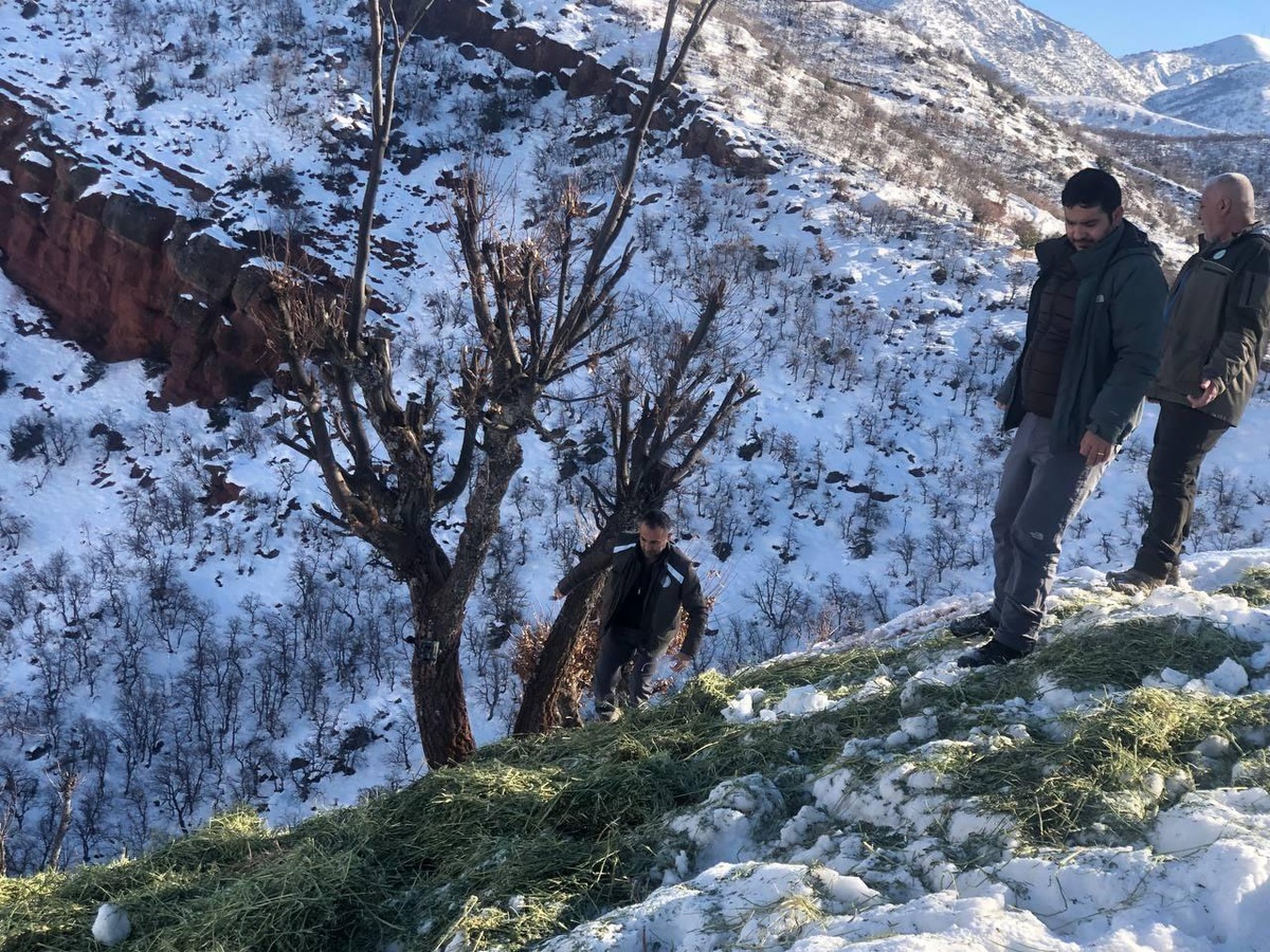 Tunceli\'de geçen yıl kaçak avlanan 115 kişiye 777 bin 77 lira ceza uygulandı