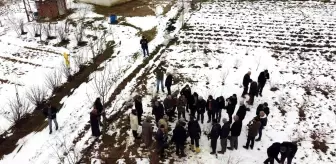 Türkiye'deki yaban mersininin üçte biri Bursa'da üretiliyor