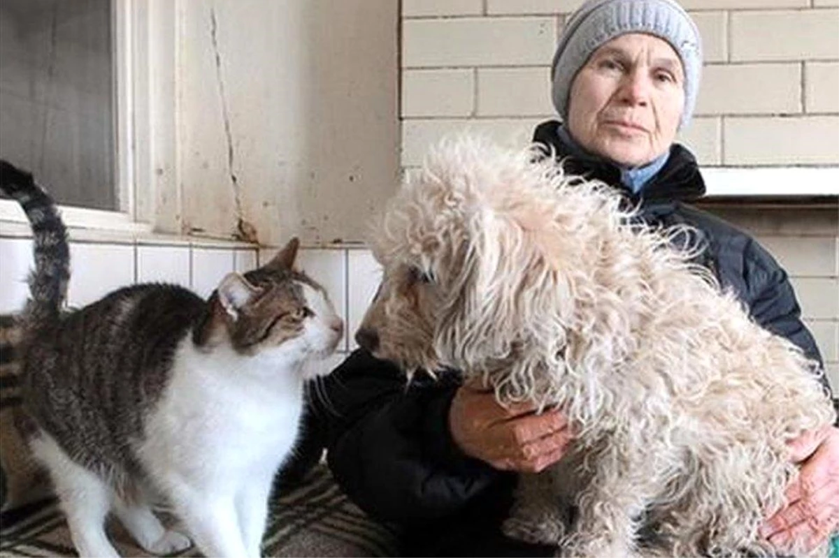 Ukrayna\'da kalan hayvanlar zor durumda! "Açlıktan ve soğuktan acı çekiyorlar"