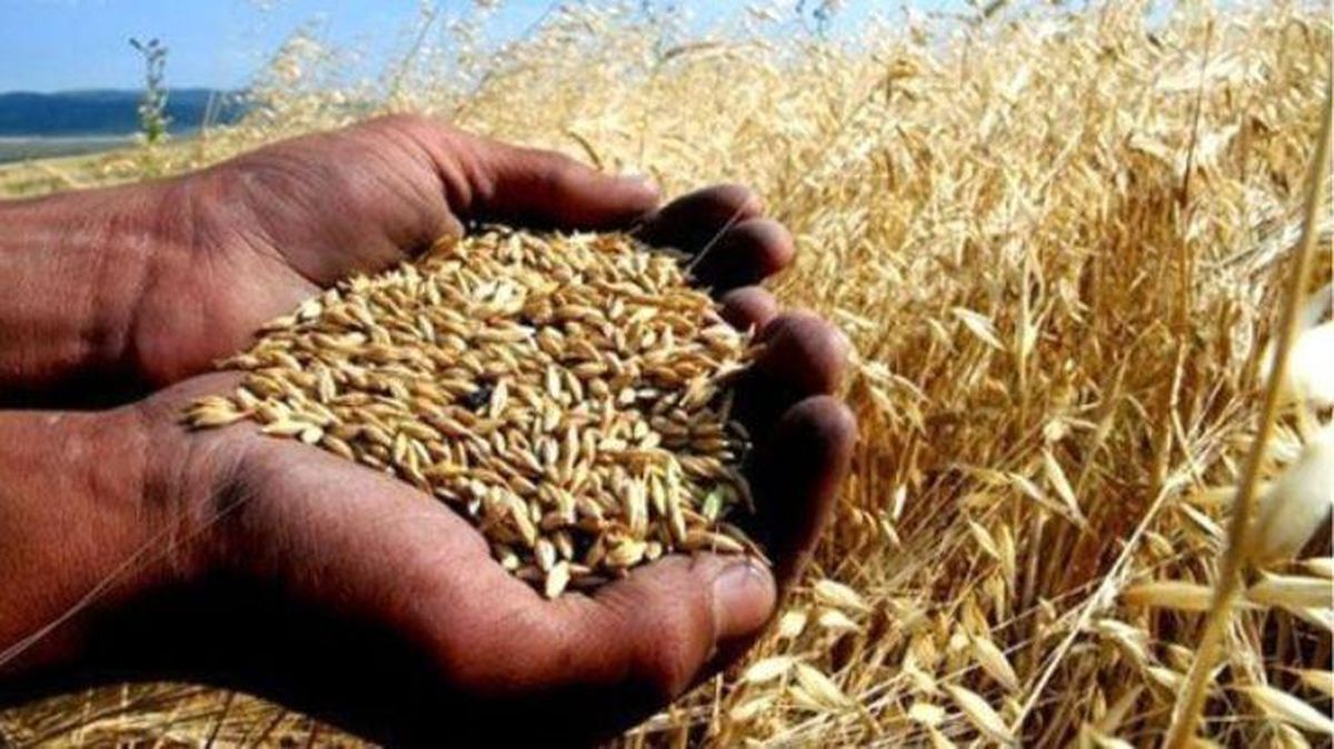 Birleşmiş Milletler paylaştı: Ukrayna\'da gıda tedarik zinciri çökmek üzere