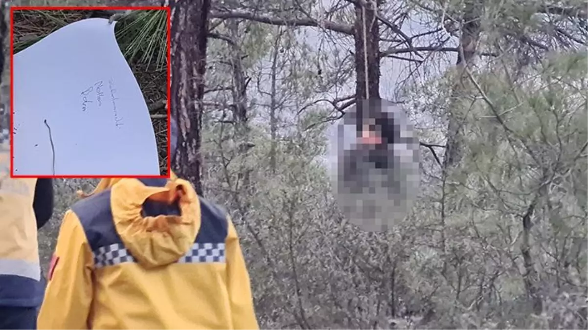 Karabük\'teki ağaca asılı bulundular: 15 yaşındaki iki genç ölmeden önce arkadaşlarına konum attı
