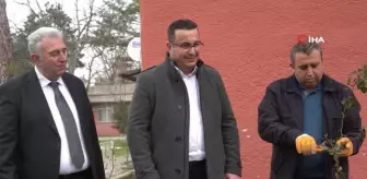 Son Dakika | Mustafakemalpaşa'daki şehitlikler gül bahçelerine dönüşecek