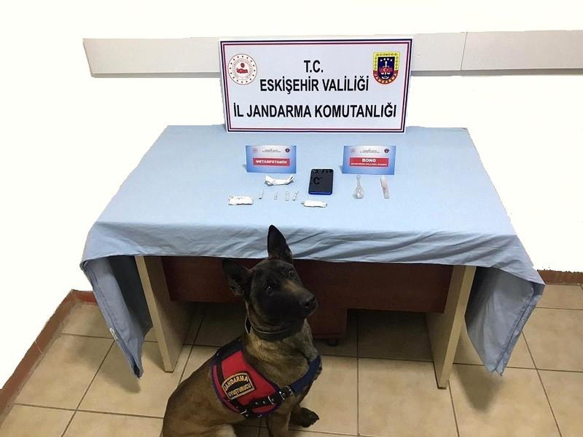 Otomobilde saklanan uyuşturucu maddeyi narkotik köpek \'Alfa\' buldu