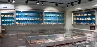 Azerbaycanlı koleksiyoncu deniz kabuğu koleksiyonunu mini müzeye dönüştürdü