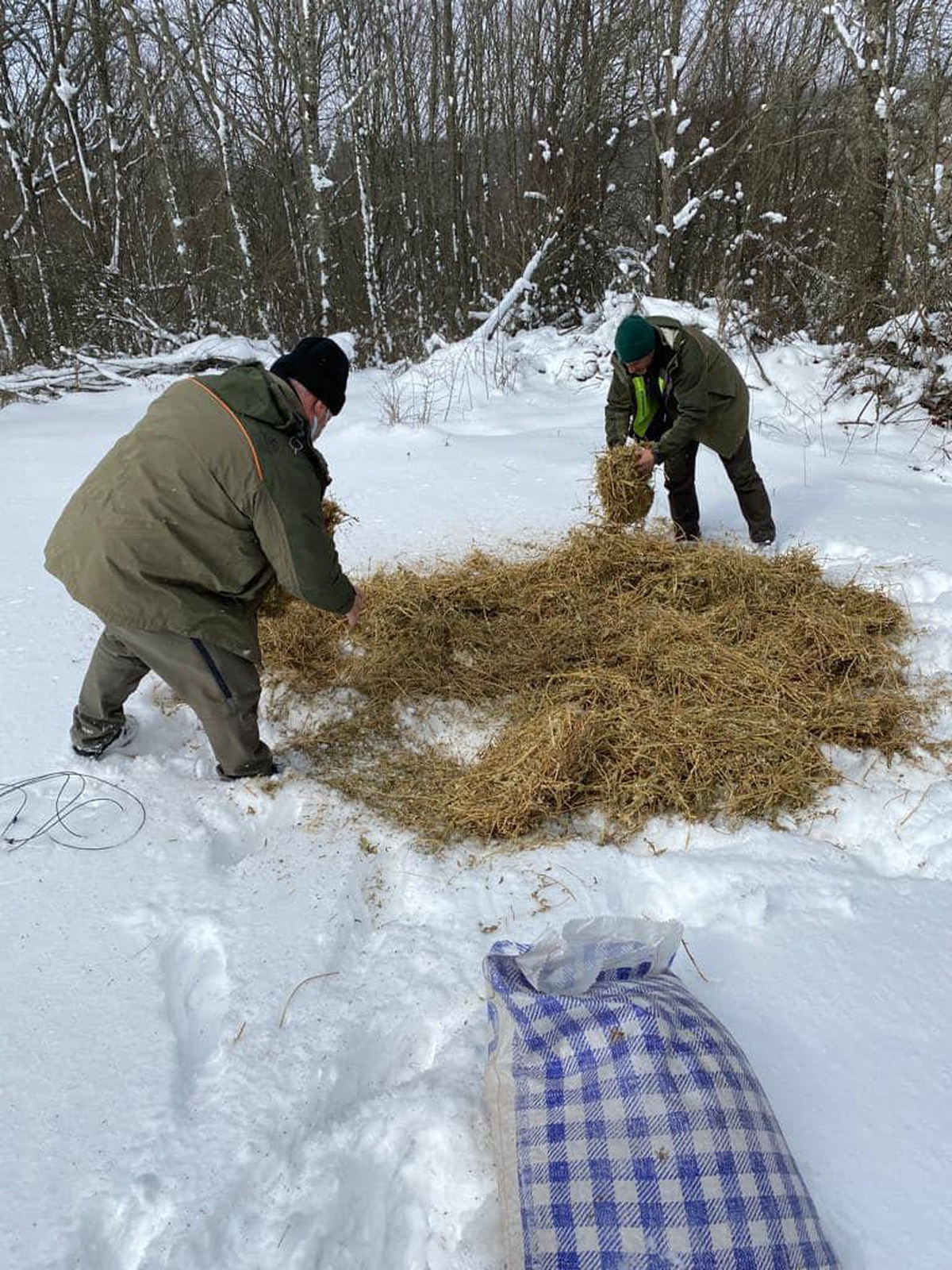 Kırklareli\'nde yaban hayvanları için doğaya 7,6 ton yem bırakıldı