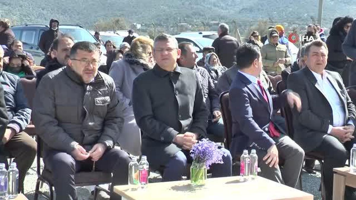 Konser gelirleri zeytin ağacına dönüştü