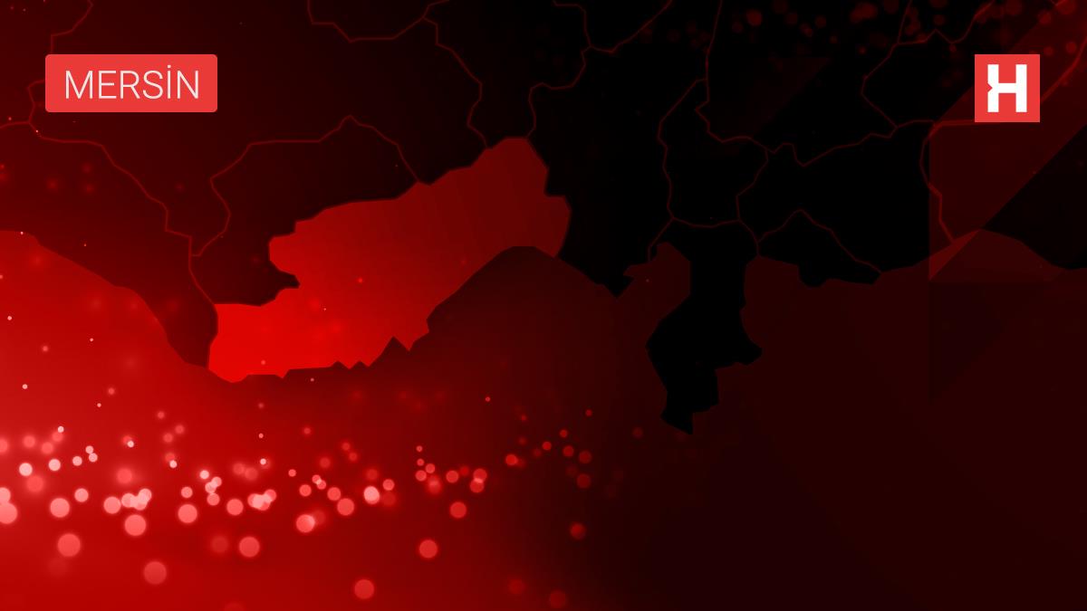 Mersin'de don nedeniyle zarar gören alanda hasar tespiti yapılacak