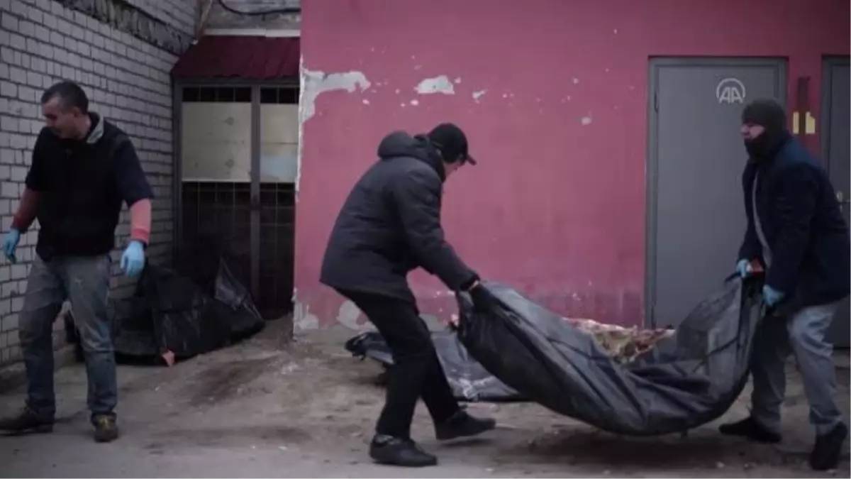 Rusya'nın Ukrayna'ya saldırıları