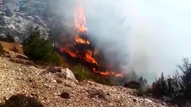 Seydikemer'de orman yangını