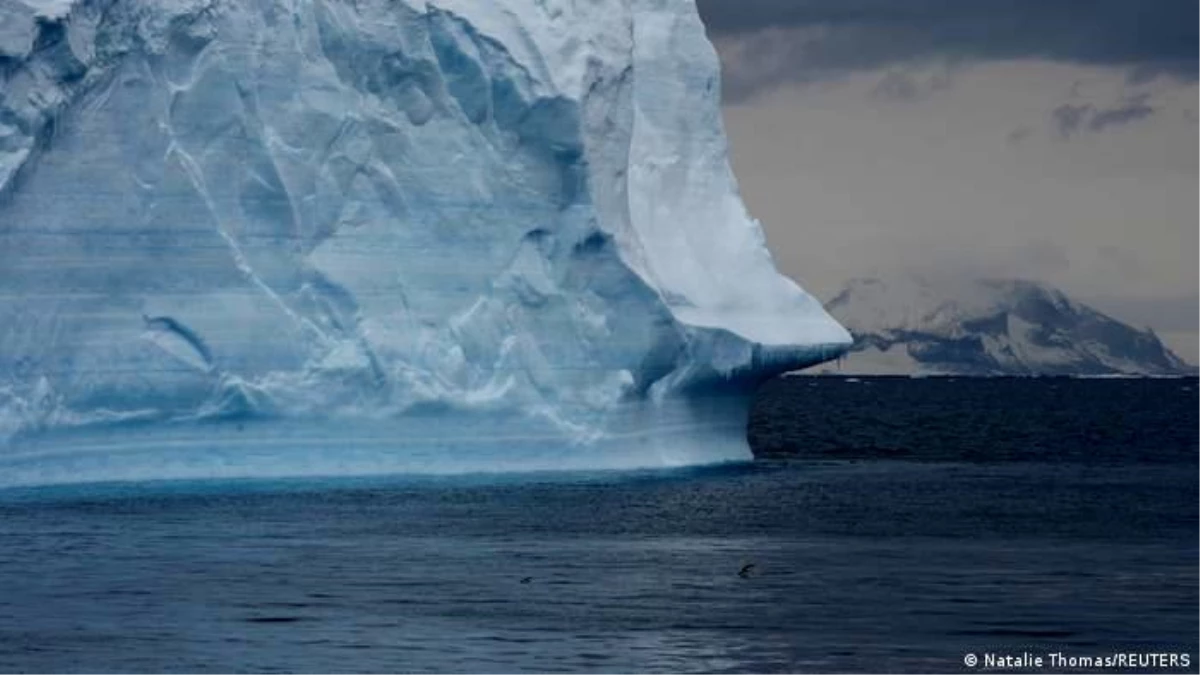 Antarktika\'da rekor sıcaklık