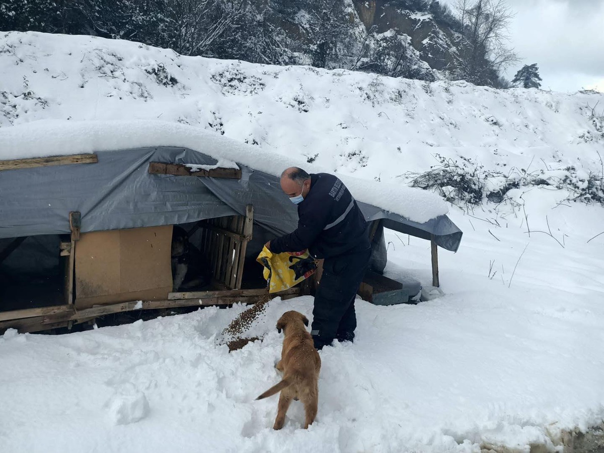 Bartın ve Düzce\'de hayvanlar için doğaya yiyecek bırakıldı