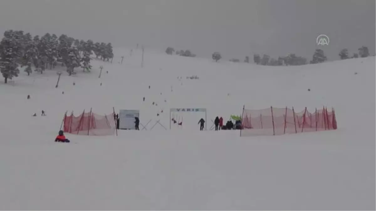 "Geleceğin Olimpik Sporcuları" kupa için yarıştı