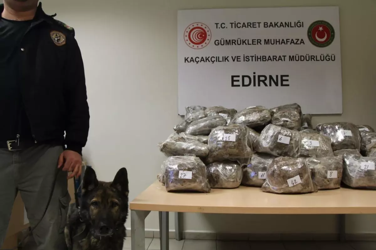 Kapıkule\'de bir otobüste 119 kilo 670 gram esrar ele geçirildi