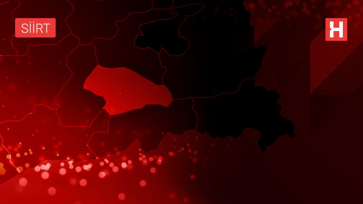 Yağışlar çiftçinin yüzünü güldürdü, rekoltede artış bekleniyor