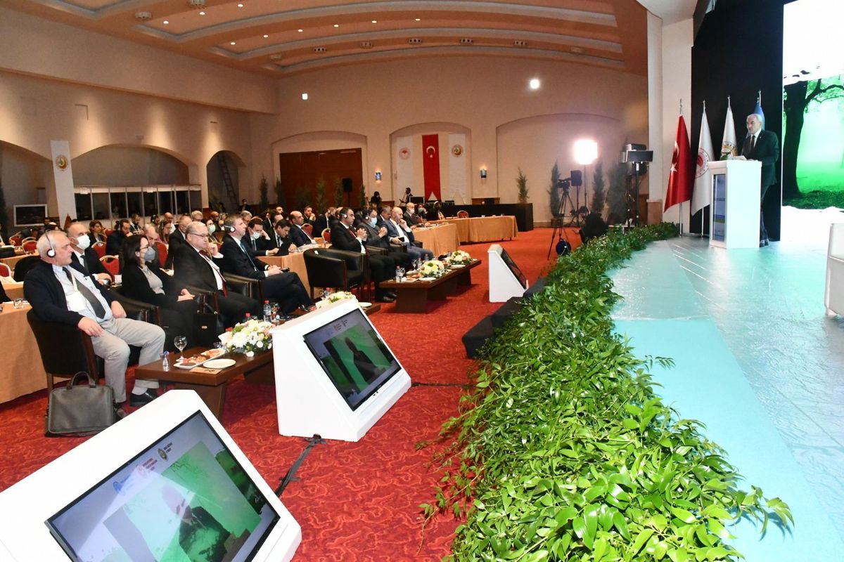 "7. Akdeniz Orman Haftası ve SilvaMed Komitesi" toplantıları Antalya\'da başladı