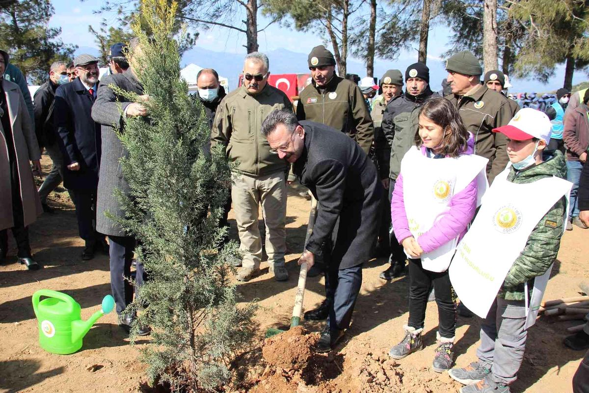 Aydın\'da 10 bin adet fidan toprakla buluştu
