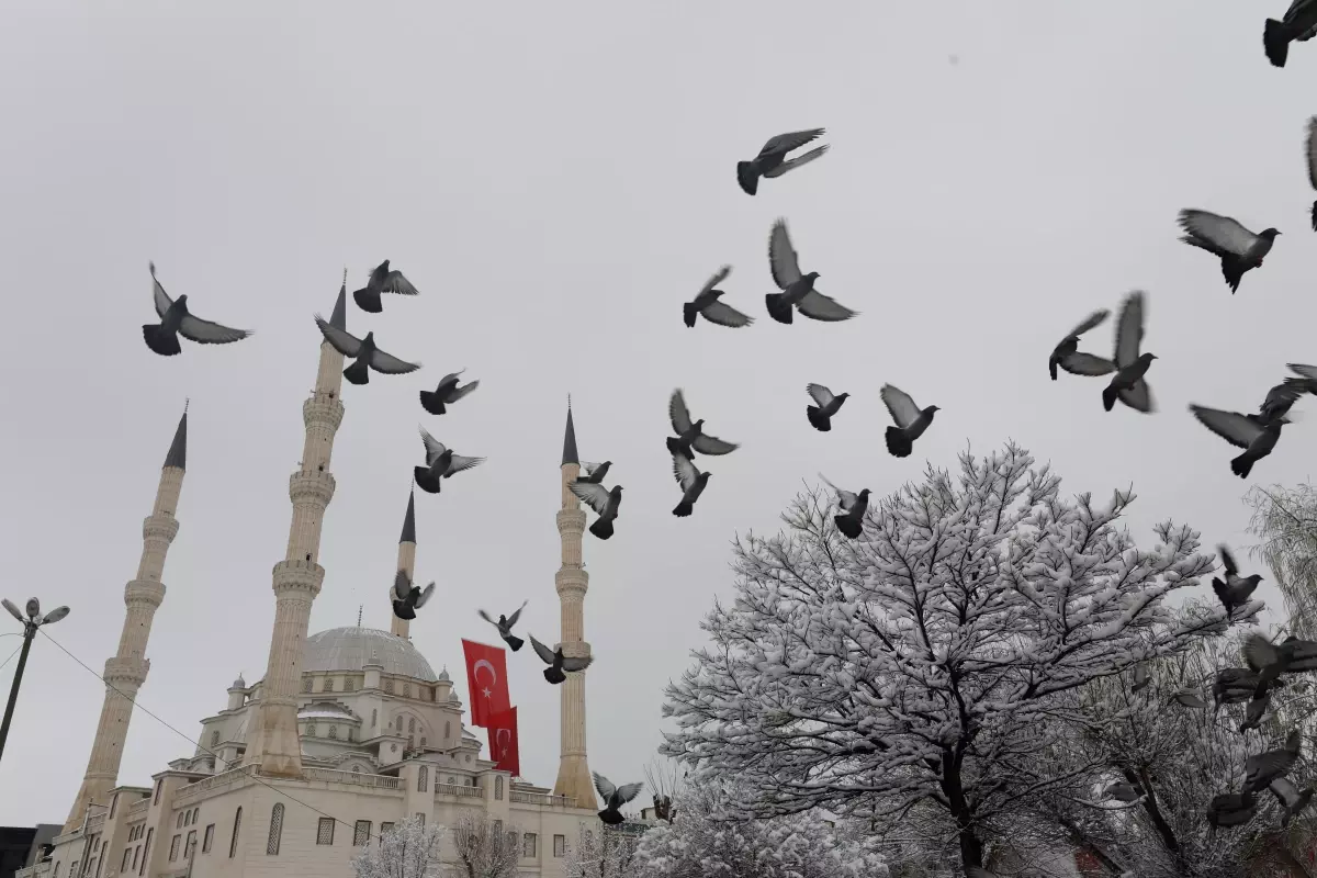 Yoğun kar ve tipi nedeniyle kent beyaza büründü