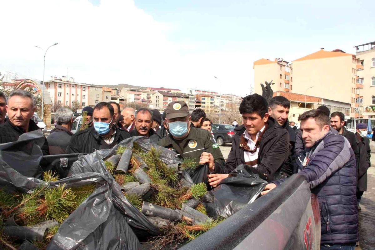 Fidan dağıtımında izdiham yaşandı