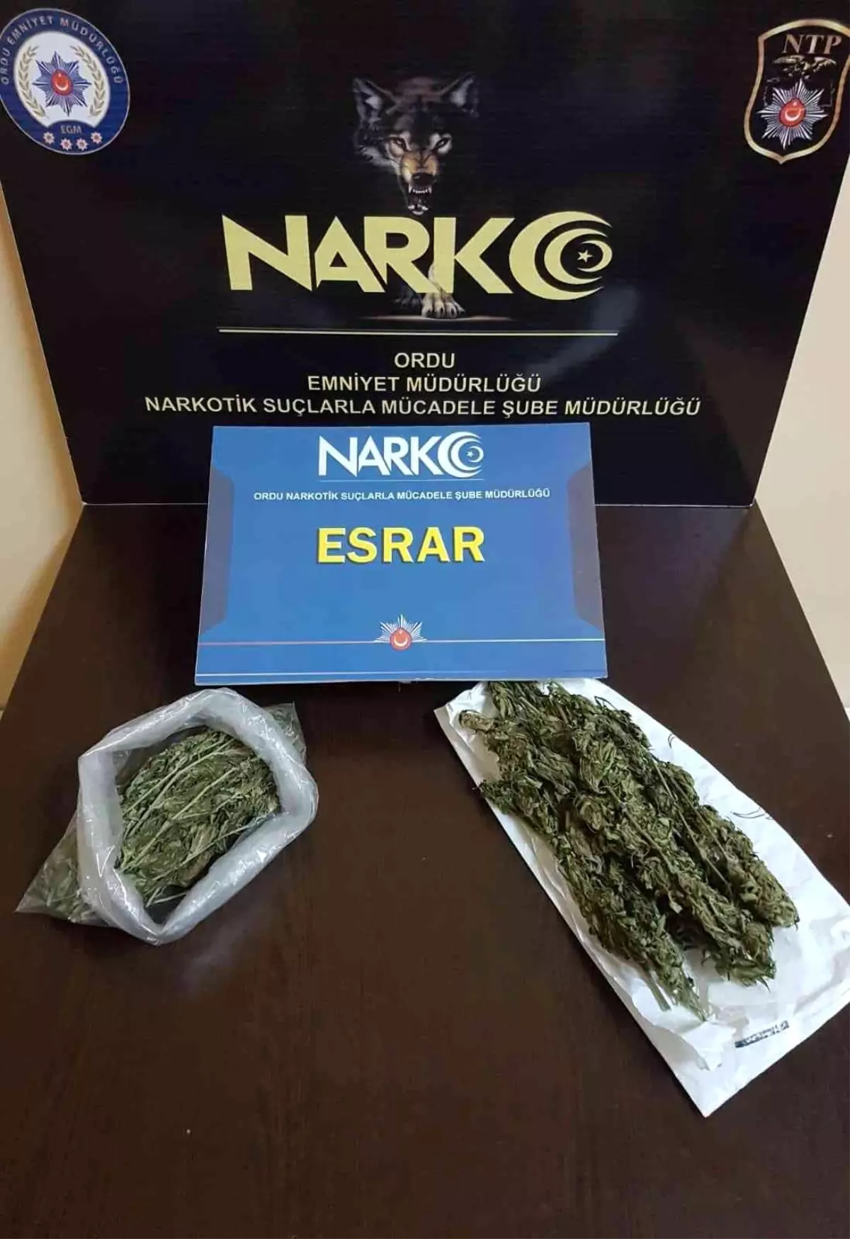 Ordu'da torbacılara aman yok