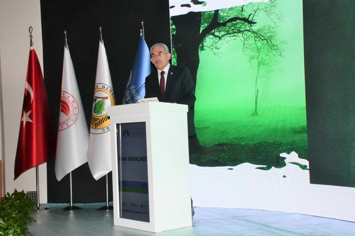 Orman Genel Müdürü Bekir Karacabey: "Türkiye dünyada en fazla ağaçlandırma yapan ülkelerden biri"