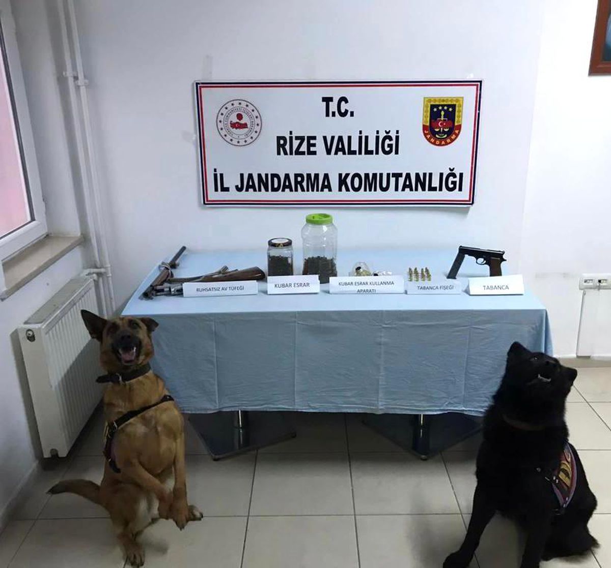 Rize\'de uyuşturucu operasyonu: 1 gözaltı