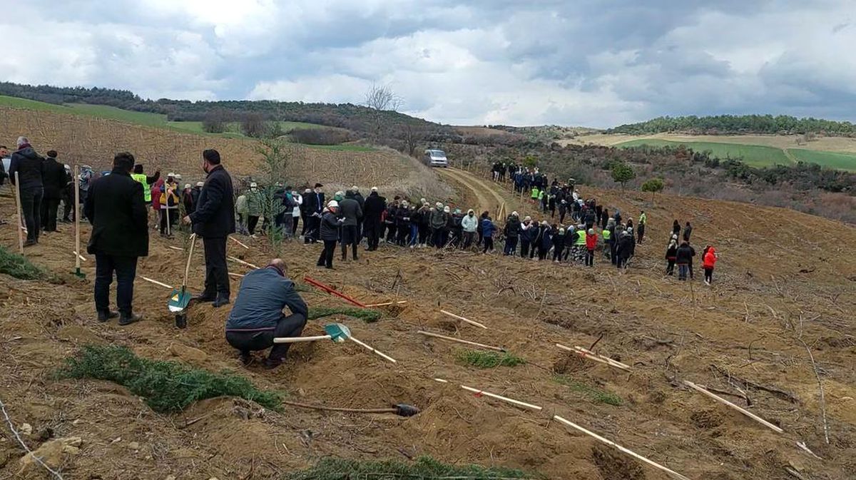 Tekirdağ\'da 300 bin fidan toprakla buluşturuldu