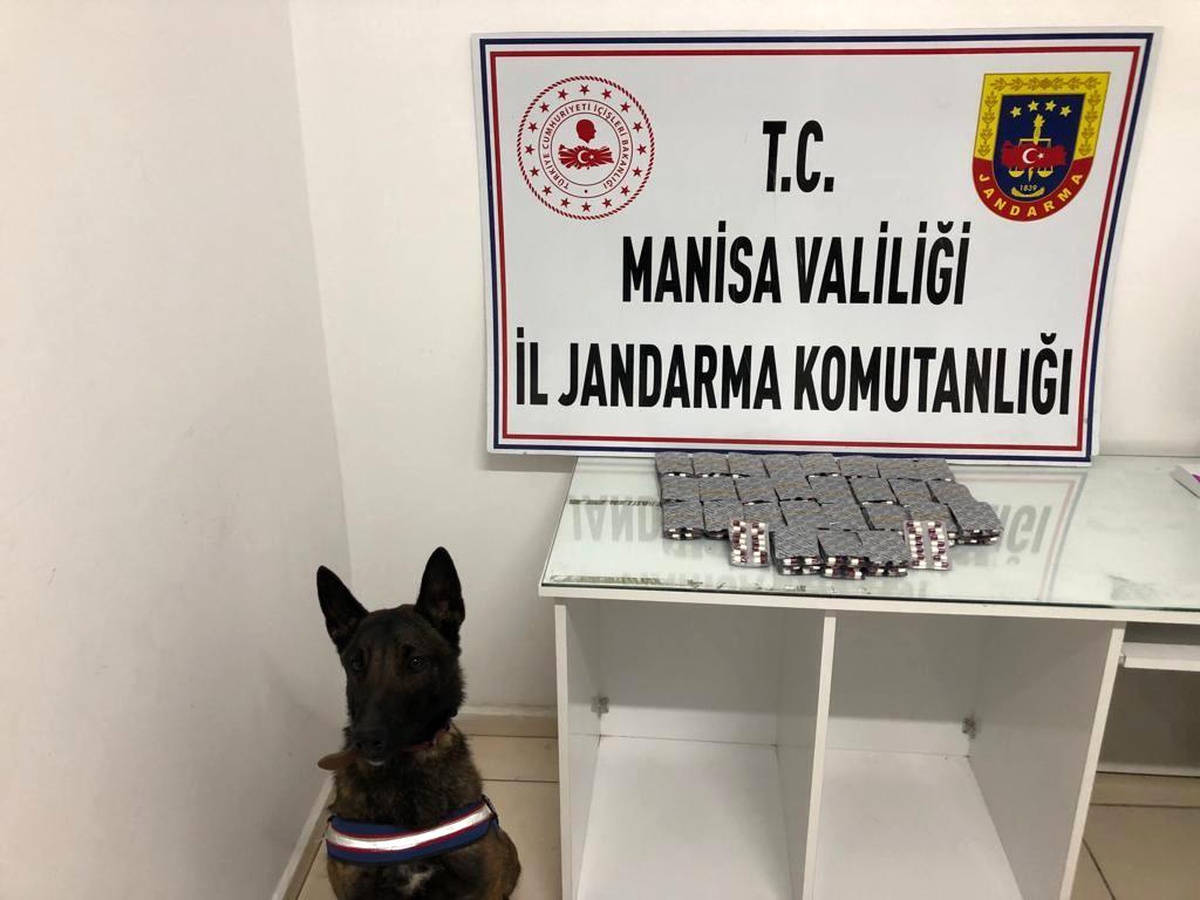 Uyuşturucu tacirleri jandarmaya yakalandı