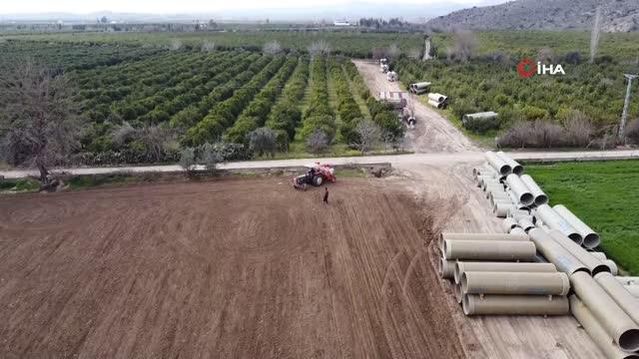 Çukurova'nın bereketli toprakları mısırla buluşmaya başladı