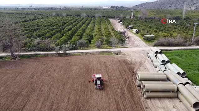 Çukurova'nın bereketli toprakları mısırla buluşmaya başladı
