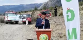 Kargı'da 250 fidan toprakla buluştu