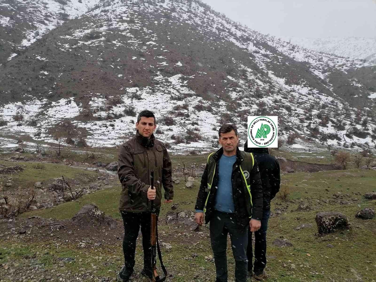Siirt\'te kaçak avcılık yapan şahıs hakkında idari işlem yapıldı