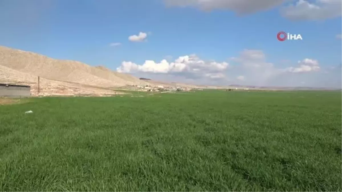 Yağışlar çiftçiye umut oldu, şimdi gözler nisan yağmurlarında