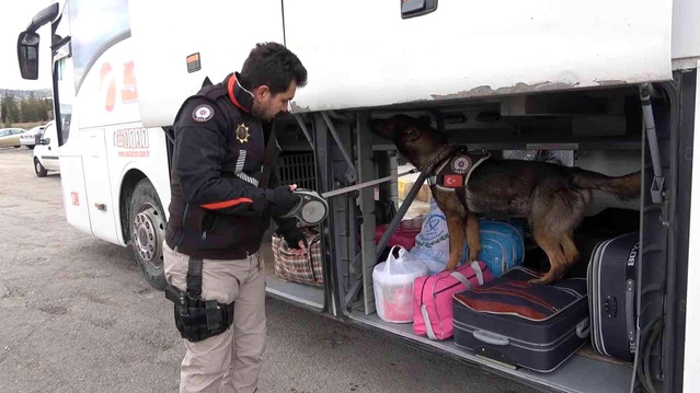 43 ilin geçiş güzergahında sıkı denetim: Narkotik köpeği 'Adam' didik didik arıyor