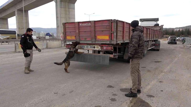 43 ilin geçiş güzergahında sıkı denetim: Narkotik köpeği 'Adam' didik didik arıyor