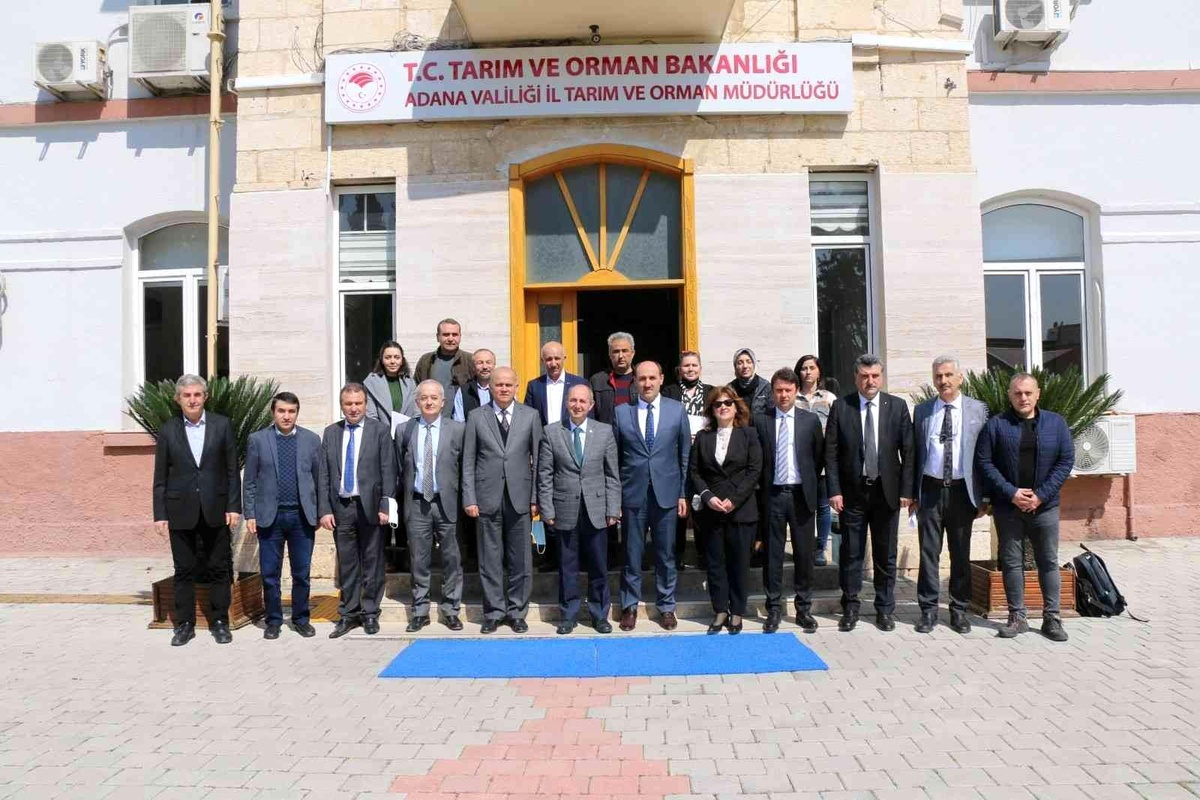 Adana\'da ki zirai don olaylarının tarımsal üretime zararı değerlendirildi