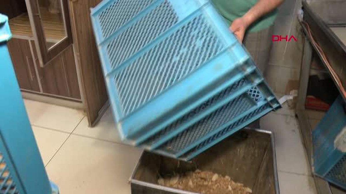 FIRINDAN TOPLADIĞI EKMEK KIRINTILARIYLA 15 YILDIR KUŞLARI BESLİYOR