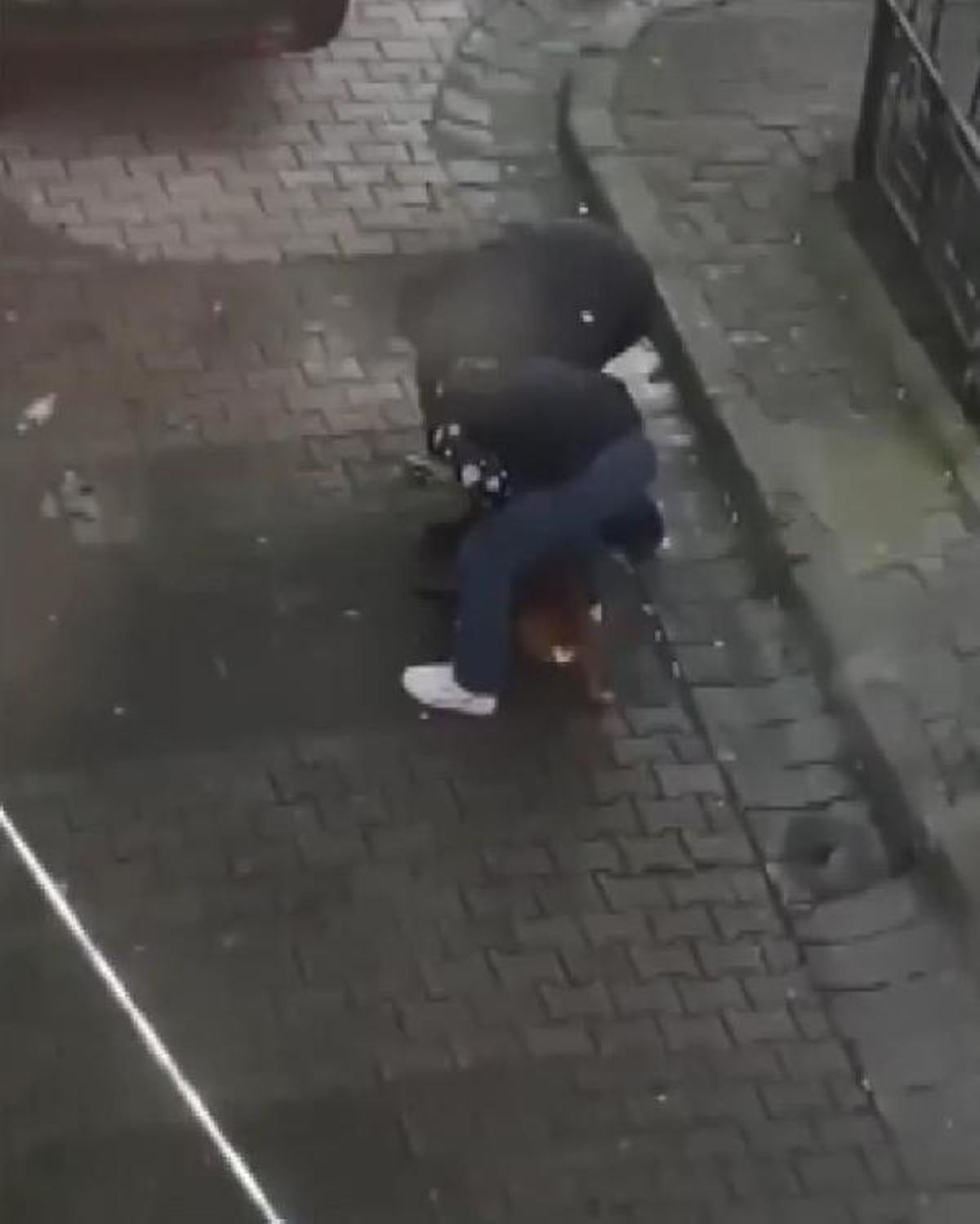 GÜNGÖREN'DE PİTBULL DEHŞETİ; BACAĞINDAN ISIRIP BIRAKMADI