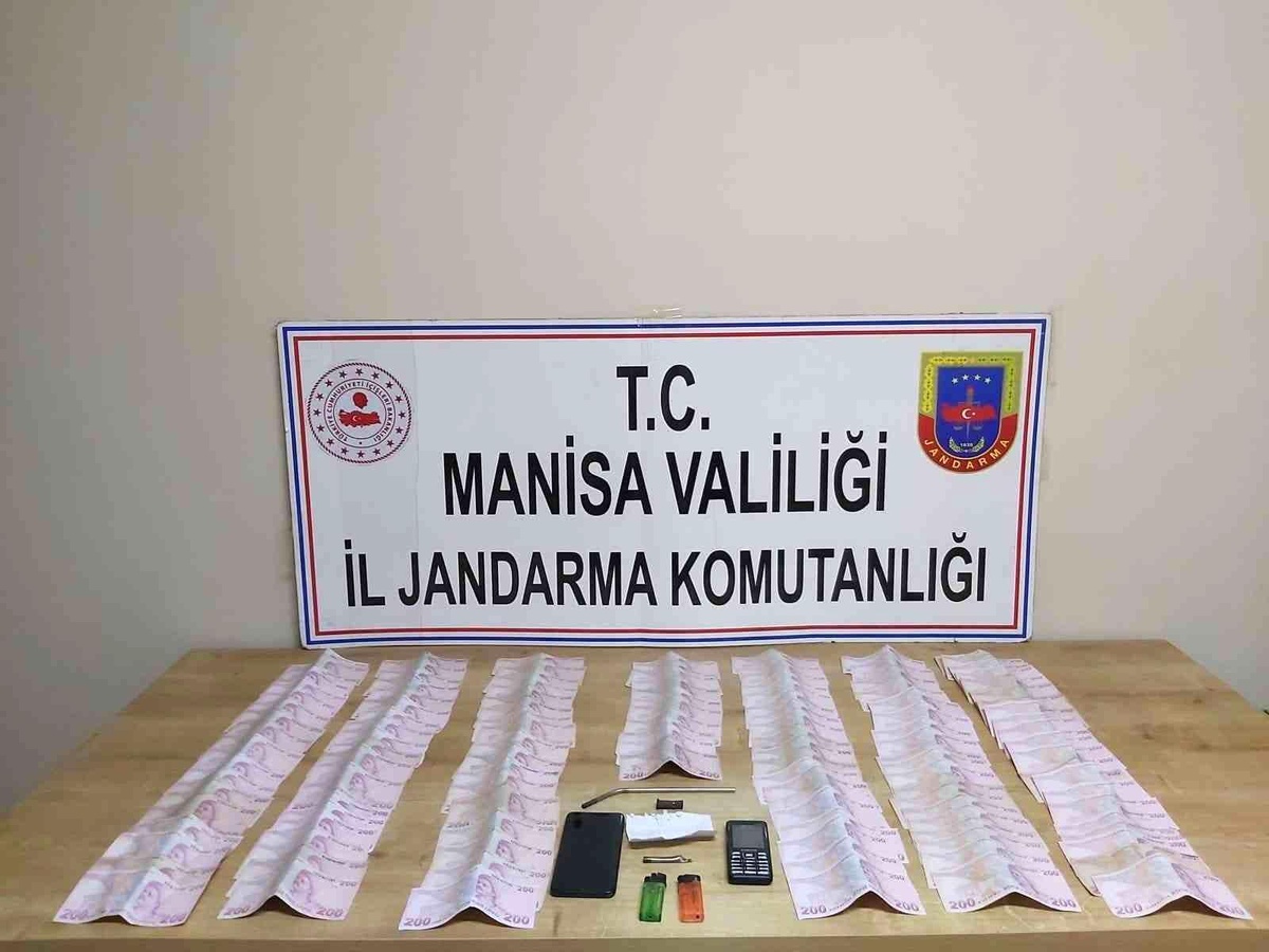 Hırsızlık şüphelisi jandarma ekipleri tarafından yakalandı