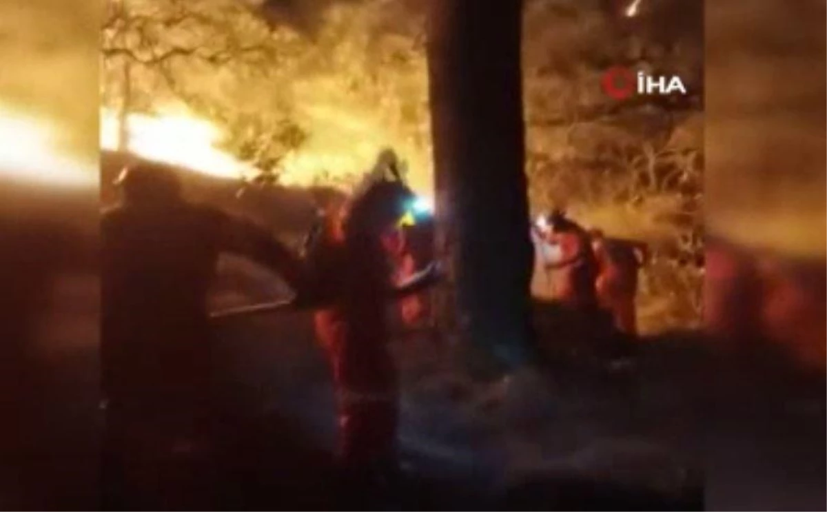 Son dakika haberleri: Meksika\'da uyuşturucu bağımlısı ormanlık alanı ateşe verdi