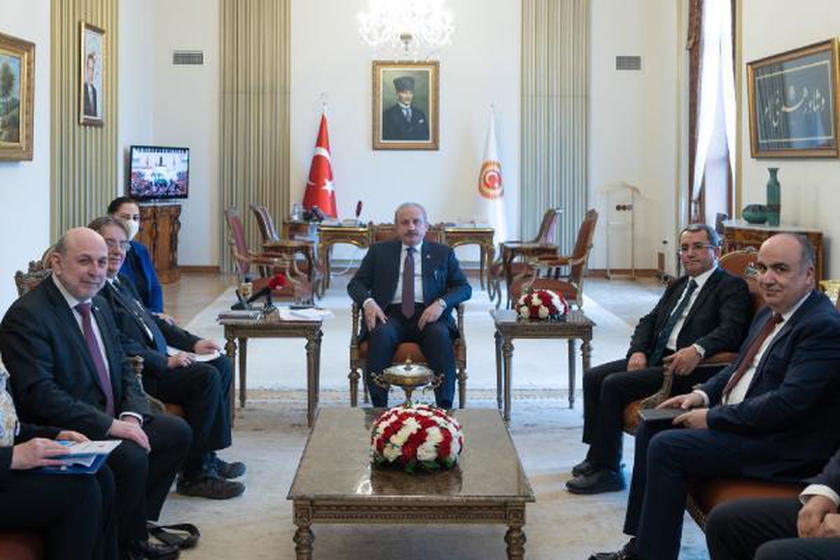 Şentop, Avrupa Konseyi Parlamenter Meclisi heyetini kabul etti
