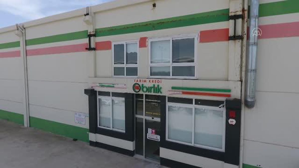 Tarım Kredi, Kahta'da kurduğu tesisle Adıyaman bademini raflara taşıyor